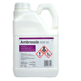 Ambrossio 500 SC(5L)